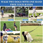 Pet Dog Double Leashes - No Tangle Dog Leash Coupler, Comfortable Shock Absorbing Reflective Bungee Lead for Nighttime Safety - Image 6