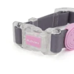 Transparent Buckle Collar Candy Color Pet Cat Dog Collars Leashes For Small Medium Dogs - Image 4