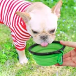 Durable TPR Portable Pet Food Bowl for Cats And Dogs Silicone Collapsible Travel Outdoor Water Food Bowl for Pets - Image 5