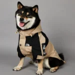 Soild Color Waterproof Dog Rain Coat S-5XL Large Dog Size Jacket Coat Windbreaker Pet Clothes 2 Legged Puppy Out Door Coat - Image 2