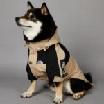 Soild Color Waterproof Dog Rain Coat S-5XL Large Dog Size Jacket Coat Windbreaker Pet Clothes 2 Legged Puppy Out Door Coat - Image 6
