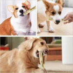 1 PC Natural Coffee Wood Dog Chew Stick Durable Dental Teeth Cleaning Molar Toy for Pet Small Large Dogs Stress Relief Teething - Image 3