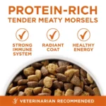 Dry Dog Food for Purina One Plus High-Protein Healthy Weight Formula Authentic Turkey - Image 3