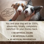Premium Grain Free Dry Adult Dog Food, Wholesome And Natural Kibble, Real Beef And Sweet Potato, 10.0 lb. Bag - Image 12