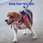Reflective Dog Safety Collar Clip Leash Attachment with 360° Swivel, Adjustable Length, Vertical Pressure - Image 3