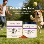Kriath Pet Nutrition Powder Support Heart Health Promoting Intestinal Digestion Function Protect Joints Normal Lmmune Function - Image 4