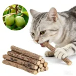 20Pcs 4-6mm Catnip Chew Sticks, Natural Woodruff Cat Toys - for Teeth Cleaning & Kitten Entertainment Actinidia Silvervine