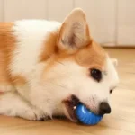 Interactive Dog Toys Rechargeable Pet Interactive Toys Electric Cats Ball Automatic Rolling Fake Tail Ball Dog Cats Toy - Image 6
