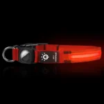 Dog Collar Hot Selling Airtag Protective Sleeve Without Positioning Tracker Waterproof LED Pet Luminous Collar Cat Collar - Image 6