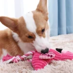 Animal Shape Squeaky Toys Plush Dog Toy Cute Bite Resistant Corduroy Dog Toys for Small Large Dogs Puppy Pet Dog Accessories - Image 3
