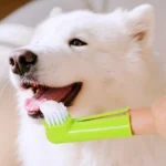 Dog Toothbrush Set Pet Toothbrush 3PCS Dog Teeth Cleaning Finger Dogs Toothbrushes Suit Oral Care Cat Tooth Brush Pet Supplies - Image 4
