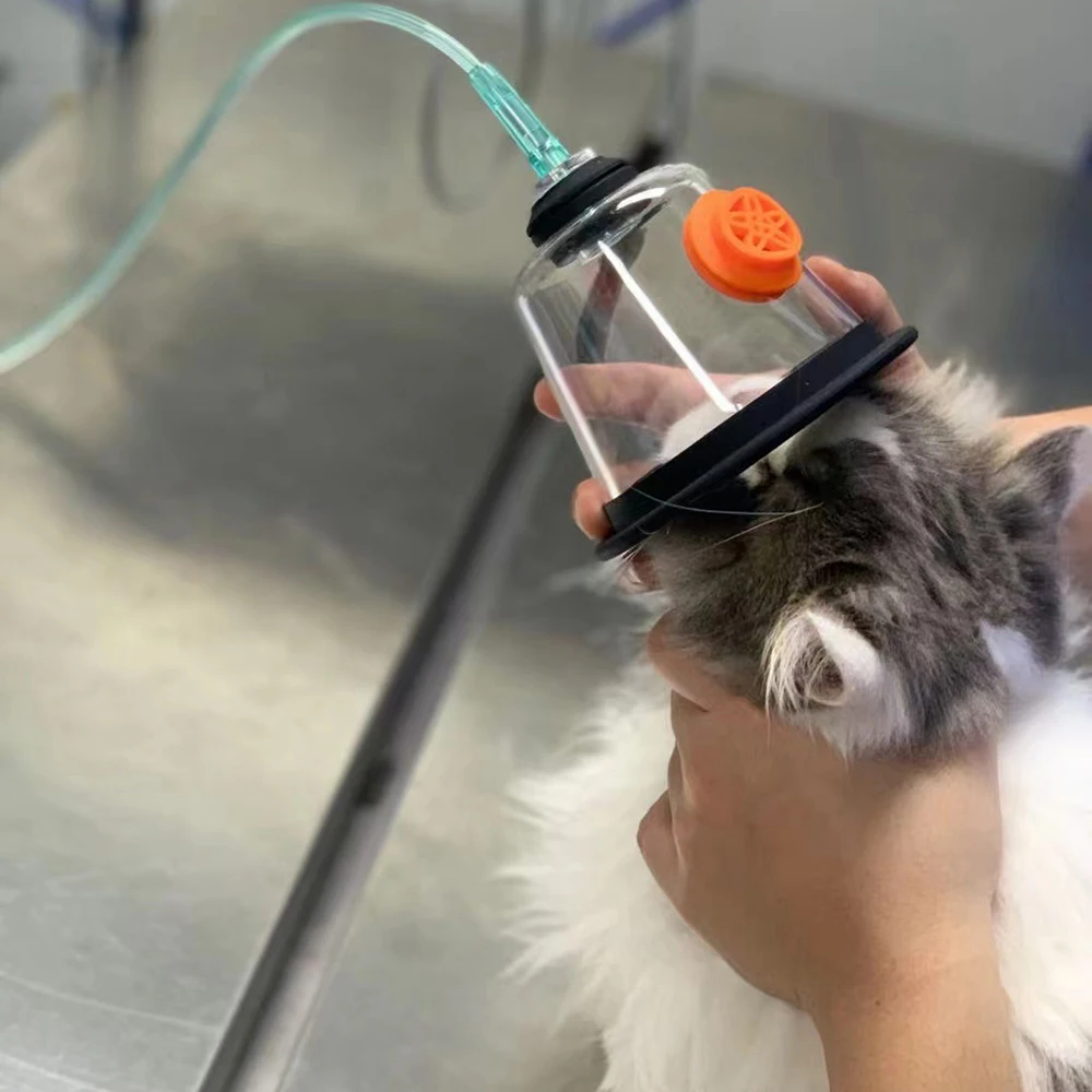 kf-S307d8485c9c24ac699fb817a4f3e36bes NO.1-NO.5 Pet Dog Cat Oxygen Mask Kit Oxygen Inhalation Atomizing Mask for Animals Clinic Supplies Pet Care Room - Image 1