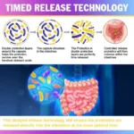 Probiotics 120 Billion CFU 36 Strains Contains Prebiotics and Digestive Enzymes for Digestion and Immune Support Vegan, Non-GMO - Image 3