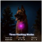 LED Luminous Collar Adjustable Glowing Dog Collar USB Rechargea Flashing Anti-Lost/Avoid Car Accident Collar Dogs Pet Products - Image 3