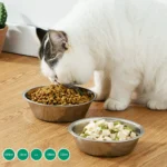 Large Capacity Dog Bowl Stainless Steel Pet Feeding Bowl Cat and Dog Food Drinking Bowl Metal Feeder Bowl Durable and Cheap - Image 4