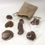 6Pcs Turd Mischief Tricky Fool's Holiday Gadget Squish Funny Realistic Shit Gift Prank Fake Poop - Image 3