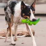 Squeaky Rubber Crocodile Dog Toy – Durable Play Pet Toy for Dogs,Fun Animal Design for Interactive Games(Assorted Colors) - Image 7