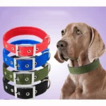 Solid Dog Collars Nylon Dog Collar For Small Medium Large Dogs Teddy Keji Pitbull Bulldog Beagle - Image 2