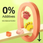 10/20/50Pcs Cat Snacks Cat Biscuit Freeze-Dried Cat Claw Biscuits Dog Snacks Nutrition Fattening Snack Cat Training Reward Snack - Image 2