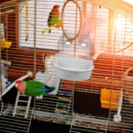 Bird Bath Covered for Cage Use Suitable for Budgies Parakeets Canaries Semi Transparent Lid Prevents Splashes Easy to Clean - Image 5