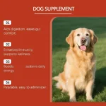 1/2/3PCS Dog Probiotic Soft Granules For Gut Health-Gentle Nourishment Promotes Smooth Digestion Boost Absorption Supports 100g - Image 4