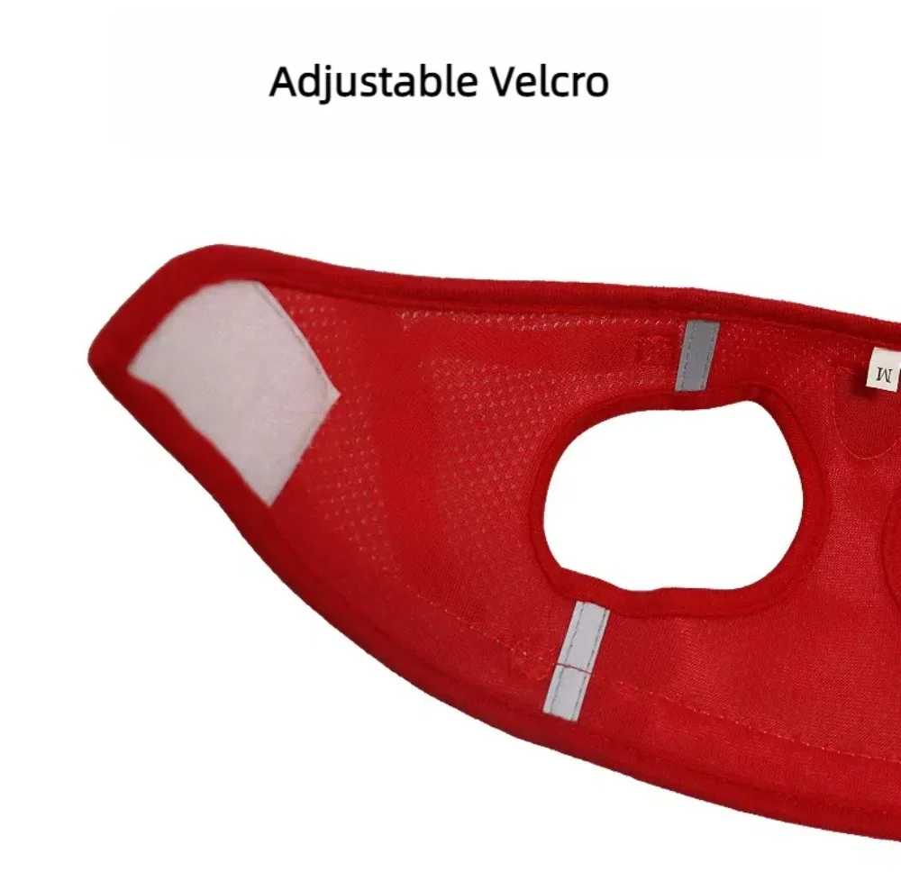 Small Dog Harness