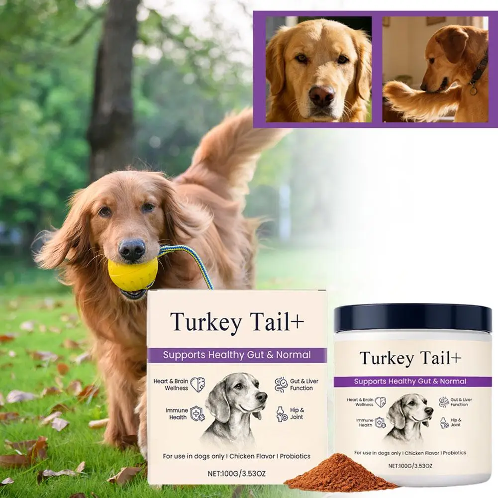 kf-S49670f4d9b3a49aa9e473ffd6eefcd5aM Dog Probiotic Intestinal Powder 100g Delicious Bacon Flavor Gut Flora Balance Digestive Support for Dogs Nutritional Supplement - Image 1