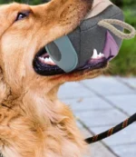 New pet dog toys, hidden food toys, ball training, biting puzzle, medium to large dog pet supplies - Image 4