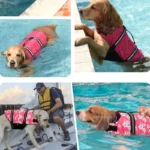 Dog Life Jacket Reflective Dog Life Vest Pet Safety Swimming Vest for Small Medium Large Dogs Outdoor Water Activities - Image 6