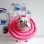 Elizabethan Collar For Dogs Adjustable Dog Collar Pet Recovery Collar Soft Pet Cone for Small Medium or Large Dogs, Cats - Image 5