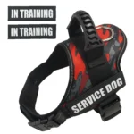Bulldog Corgi Chihuahua Chest Harness For Service Dogs Custom patches Soft Mesh Padded Dog Training Vest For Small And Large Dog