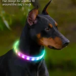 Lightweight USB Rechargeable Collar for Large Medium and Small Dogs, Glowing Dog Collar, 9 Flashing Modes, Soft Silicone Glowing