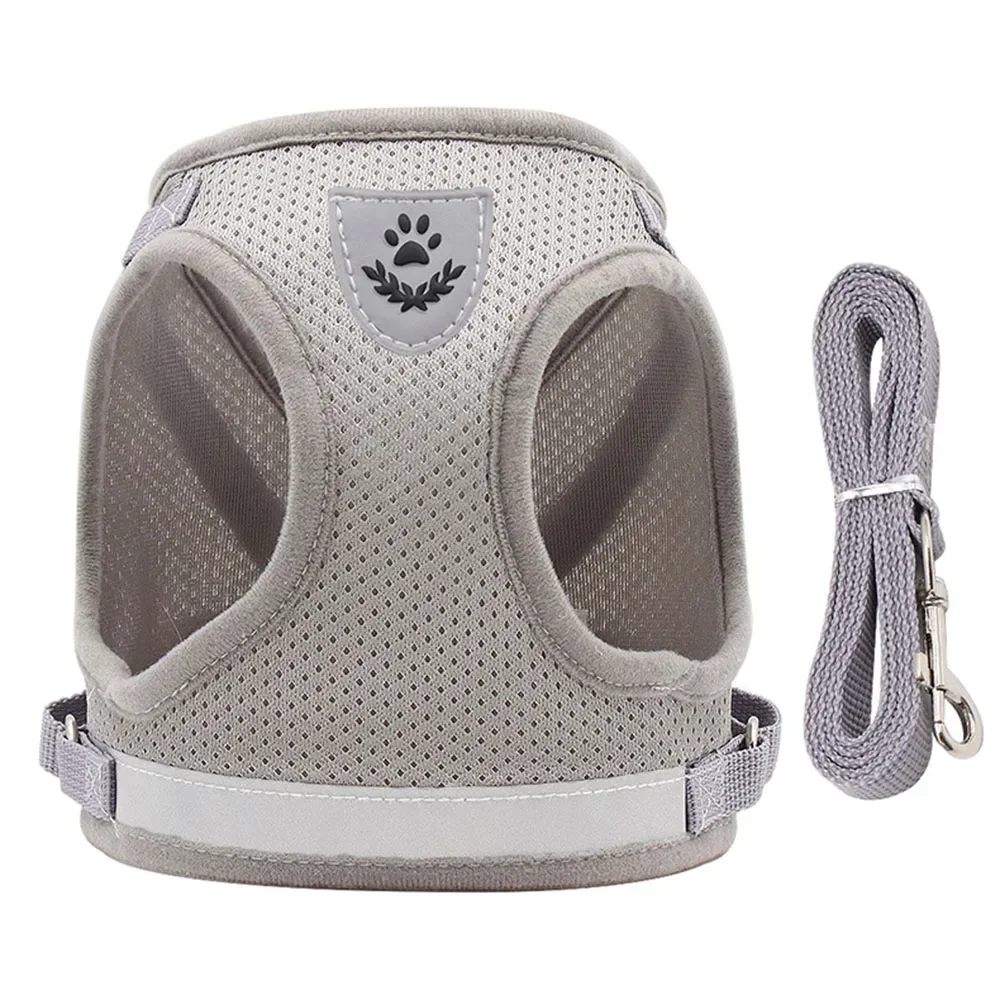 Cat Harness Lead Leash Set