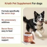 100g Bacon Flavored Pet Health Supplement Elderly Dog Maintenance Joint Intestinal Skin Care Dog Probiotics Immune Support Agent - Image 2