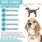 Trendy Hip-hop Pet Collar Cuban Chain Dog Chain Full Diamond Necklace Lock Buckle Rhinestone Bone Custom Pendant - Image 2