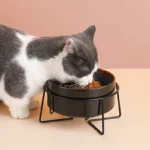 Double Cat Food Bowls with Iron Stand Starry Pet Feeding Bowl Small Puppy Dog Water Eat Accessories Cats Protect Cervical Spine - Image 3
