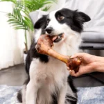 4.23-5.29oz/120-150g 5.12in/13cm Middle Large Cow Bone, All Natural Ingredients, Natural Dog Treats, Healthy, Easily Digestible, - Image 3