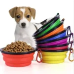 Durable TPR Portable Pet Food Bowl for Cats And Dogs Silicone Collapsible Travel Outdoor Water Food Bowl for Pets - Image 2
