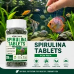 High Purity Spirulina Tablets Spiral Seaweed Enrichment Favorite Pets Food Fish Crystal Red Shrimp Fish Food Aquarium SIKEZHAN