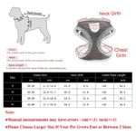 Pet Puppy Harness Leash Set for Small Dogs Cats Reflective Breathable Dog Chest Strap Walking Yorkie Vest Traction Rope Supplies - Image 6