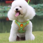 Dogs Adjustable Harness Leash Set for Small Medium Dogs Harness Vest Reflective Puppy Chest Strap Pet Walking Outdoor Supplies - Image 2