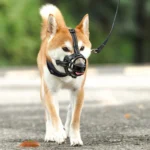 1pc/2pcs Medium And Large Dog Comfortable Breathable Muzzle Guard Anti-Barking Muzzle Basket Pet Mask for Medium to Large Dogs - Image 2