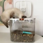 Flip Cover Dog Food Storage Container Sealed Large Capacity Cat Dry Food Box Plastic Transparent Pet Food Storage Barrel