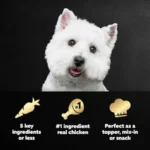 Simply Crafted Wet Dog Food Toppers for Dry Food, Chicken, Duck, Purple Potatoes, Pumpkin, Green Beans and Brown Rice, and Chic - Image 2
