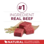 Small Bites Dry Dog Food for Adult Dogs with Added Vitamins & Minerals, High Protein Beef & Rice, 16.5 lb Bag - Image 8