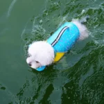 Dog Life Jacket with Removable Front Float Adjustable High Flotation Life Vest Swimsuits for Small Medium Large Dogs Swimming - Image 4