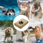 35*75cm/50*100cm Microfiber Pet Bath Towel Embroidered Super Soft Absorbent Cat for Dogs Grooming Supplies - Image 4