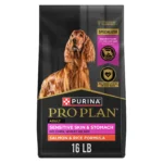 Dry dog food for adult dogs with high protein and gentle salmon rice formula suitable for sensitive stomachs 16 lb