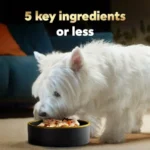 Simply Crafted Wet Dog Food Toppers for Dry Food, Chicken, Duck, Purple Potatoes, Pumpkin, Green Beans and Brown Rice, and Chic - Image 3