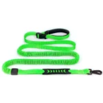Hand Free Dog Leash for Pet Walking Running Jogging Adjustable Dog For Running Dual Bungee Reflective For Large Pet Supplies - Image 6